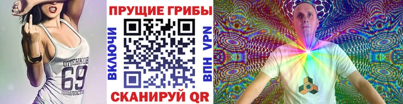 MEGA   магазин    Рославль  Псилоцибиновые грибы Magic Shrooms 